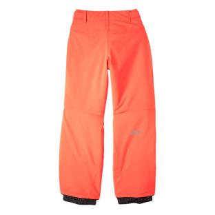 Pantalones esquí O'Neill Hammer Pants Niño naranja fluorescente ver 0