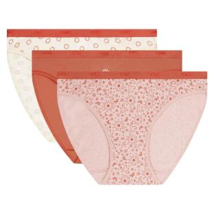 X3 Culottes Terracotta/Ecru Femme Dim Les Pockets Coton vue 0