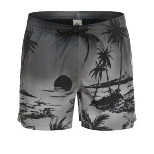 Maillot de bain Noir Homme Quiksilver Paradise 15 Jamv vue 0
