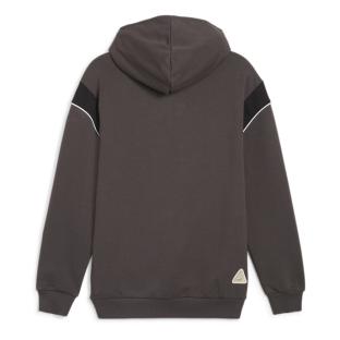 Dortmund Sweatshirt Grau Männlich Puma 2024 Ansicht 0