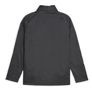 DORTMUND Veste de Training Noir Homme Puma 2023/24 vue 0