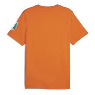 Puma Afcon Orange Männer T-Shirt Ansicht 0