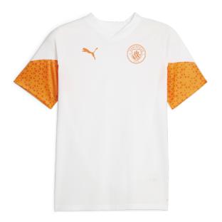 Manchester City Puma Men's Training Jersey 2023/24 affordable