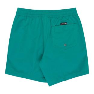 Short de bain Vert Garçon Quiksilver Everyday vue 0
