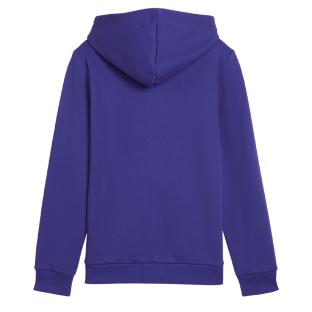 Sweatshirt Elektrisch Blau Jungen Puma 5869870 Ansicht 0