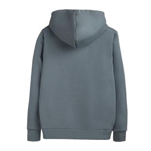 Kapuzenpullover Grau Mann Teddy Smith nark Hoody Ansicht 0