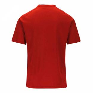 Red men's multisport polo shirt Kappa Dalto Photo of the Espace des Marques %store% store - view of %key%