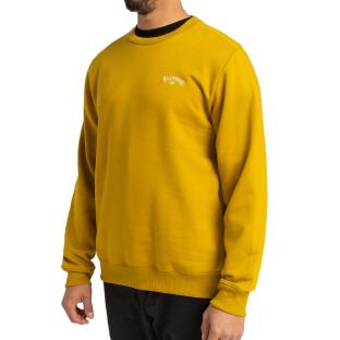 Orangefarbenes Herren-Sweatshirt „Billabong Arch“ Ansicht 0