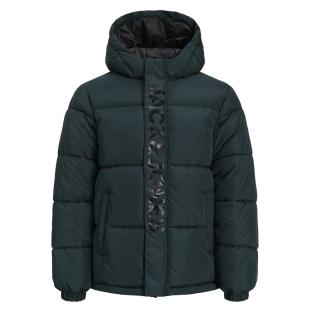 Doudoune Vert Foncé Garçon Jack & Jones Haste Puffer vue 0
