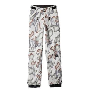 Pantalon de ski Gris/Écru Garçon O'Neill vue 0