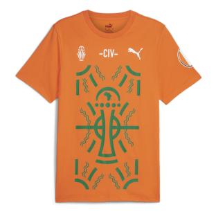 Puma Afcon Orange Männer T-Shirt Ansicht 0