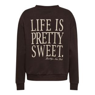 Sweat Marron Femme JDY Nanna Life vue 0