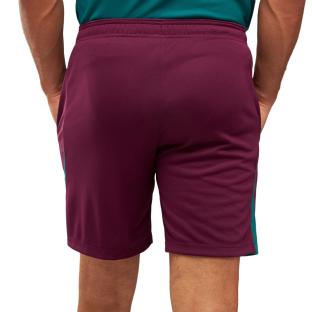 PSG Short Training Burdeos Homme Nike 24/25 ver 0