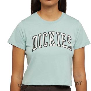 T-shirt Vert Femme Dickies Aitkin vue 0