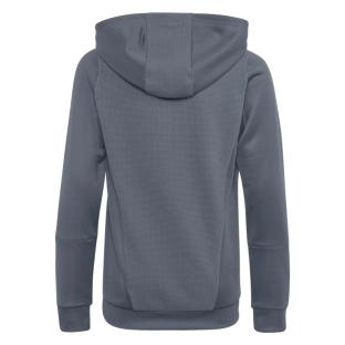 Adidas Tiro23 Herren Kapuzensweatshirt Dunkelgrau Ansicht 0