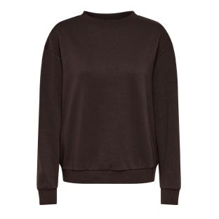 Sweat Marron Femme JDY Nanna Life vue 0