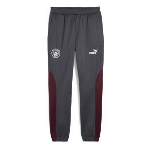 Manchester City Jogginganzug Grau Mann Puma 2024/25 Ansicht 0