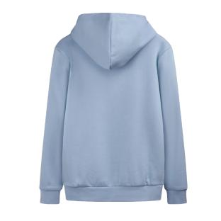 Sweat à Capuche Bleu Homme Teddy Smith Narks vue 0