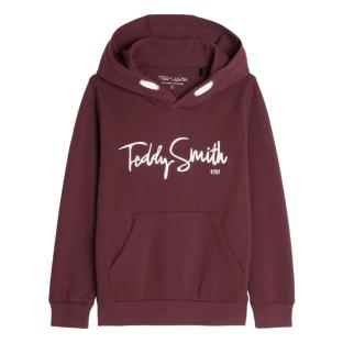 Bordeauxfarbener Kapuzenpullover für Jungen von Teddy Smith Evry Ansicht 0