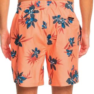 Short de bain Orange Homme Quiksilver Mix 17 vue 0