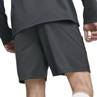Manchester City Pantalón Corto Puma 2023/24 Gris Oscuro, Hombre ver 0