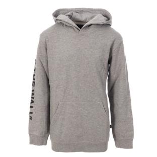 Sudadera Gris Niño Vans Logo Fleece Hoodie Heather ver 0