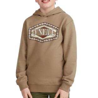 Sweat Marron Clair Garçon O'Neill Front Print vue 0