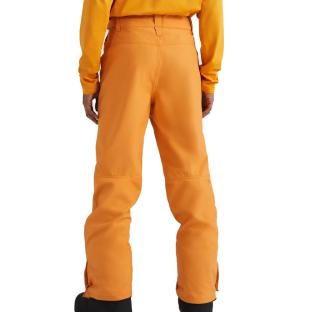 Pantalones esquí O'Neill Hammer Hombre Naranja ver 0