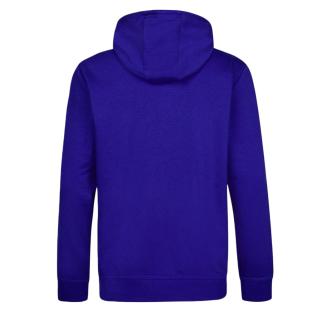 Sweat à Capuche Bleu Roi Homme O'Neill Cali vue 0