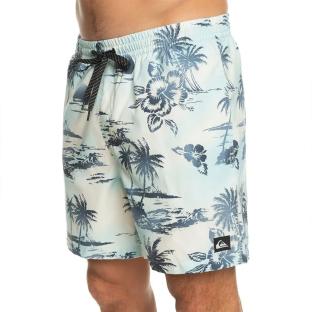 Short de bain Bleu Homme Quiksilver Mix 177 vue 0