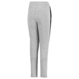 Jogging Gris Niño Puma Evostripe SB ver 0