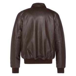 Blouson cuir Marron Homme Schott LCJET vue 0