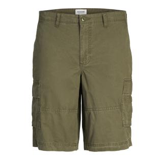 Pantalones cortos Jack &amp; Jones Cole Verde Niño ver 0