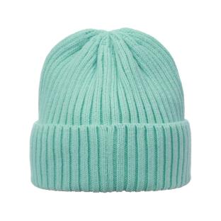 Gorro turquesa para hombre Icepeak Havre ver 0