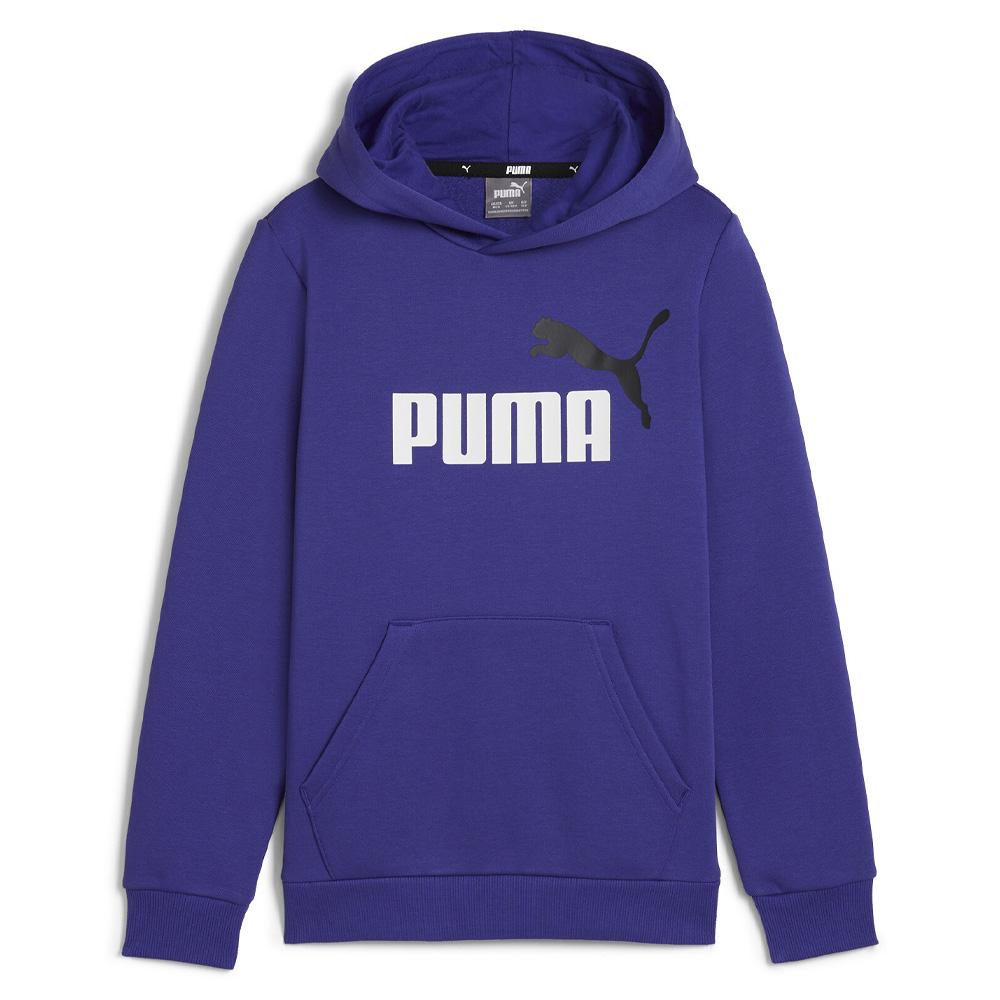 Sweatshirt Elektrisch Blau Jungen Puma 5869870 günstig