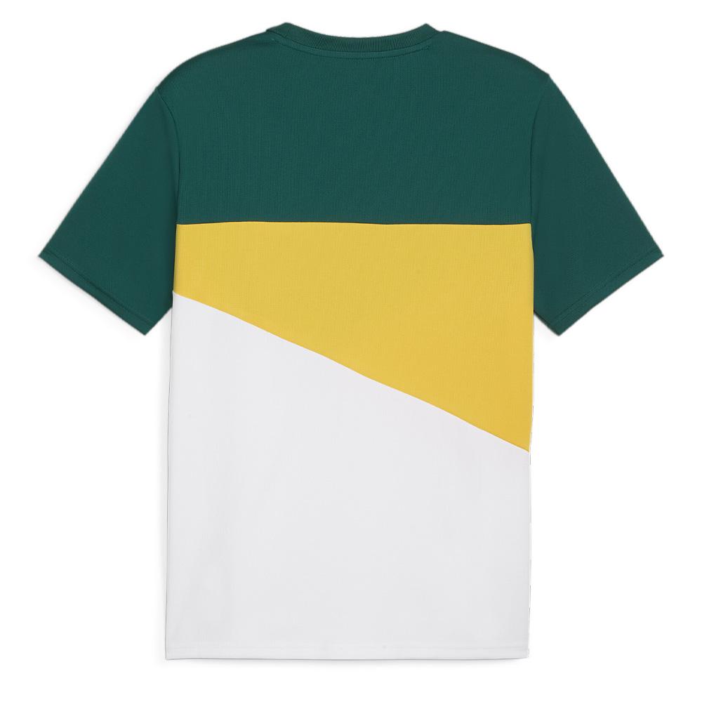 Senegal Grünes Trikot Herren Puma 2024 Ansicht 2