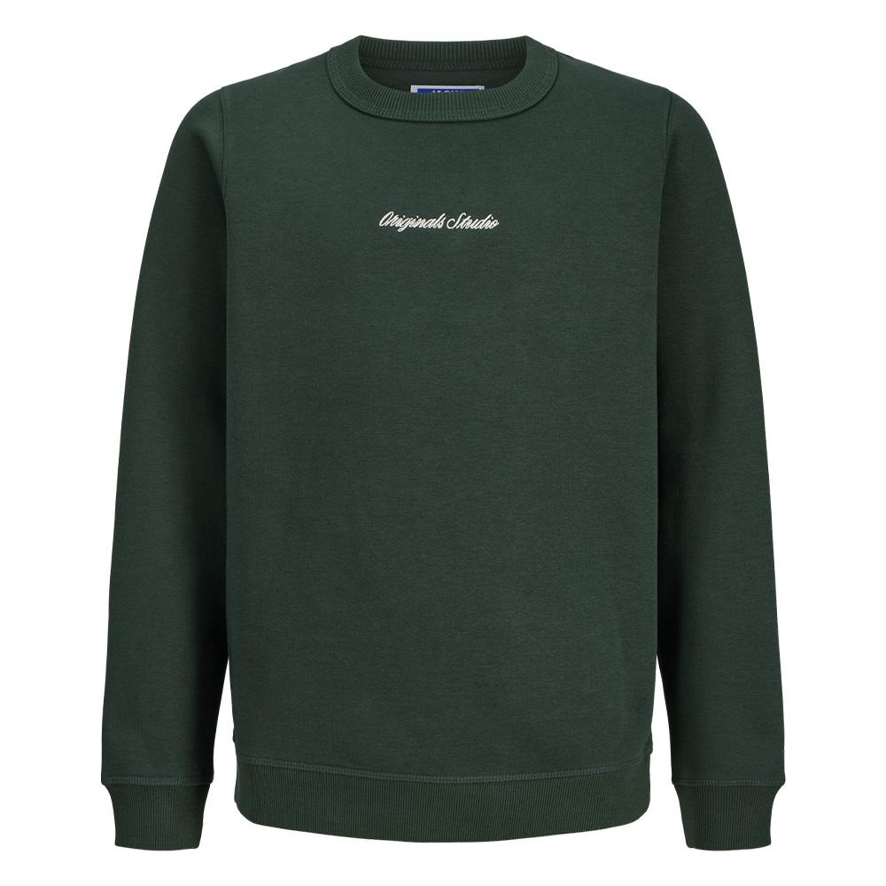 Jack & Jones Norrebro Boys’ Green Sweatshirt affordable