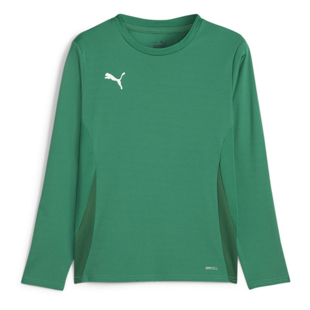 Camiseta Puma Teamgoal Green, Hombre barato