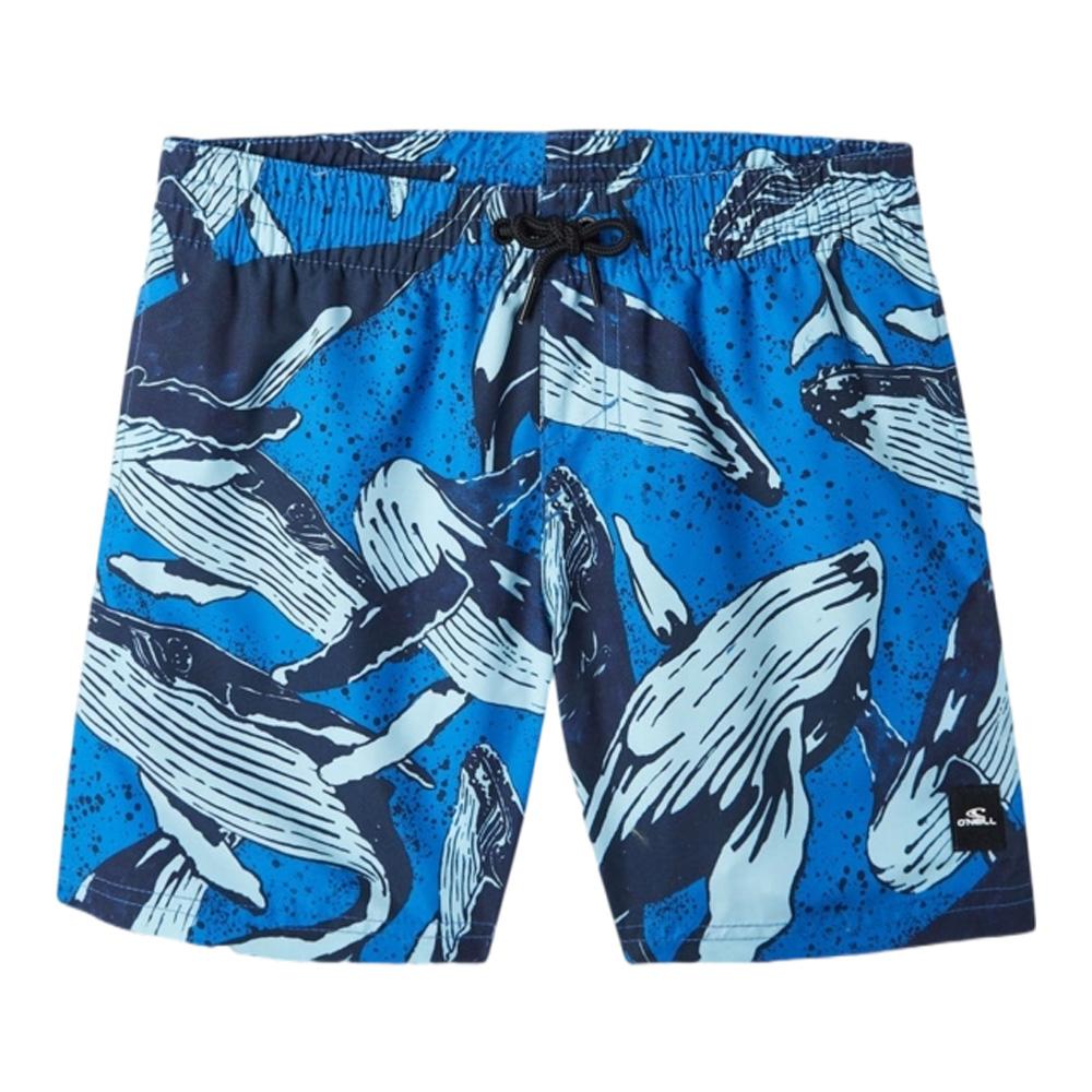 O'Neill Cali Blue Boy's Swimsuit affordable