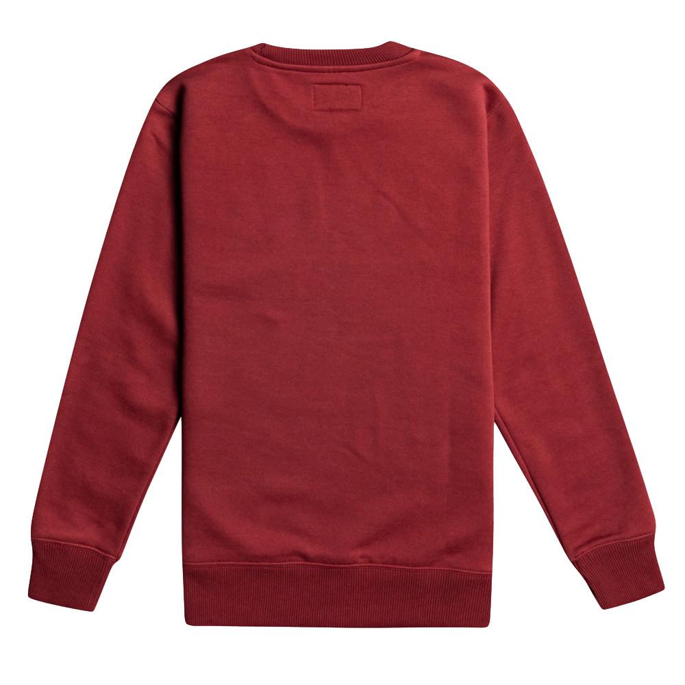 Sudadera Billabong Stamp Bordeaux Niño ver 2