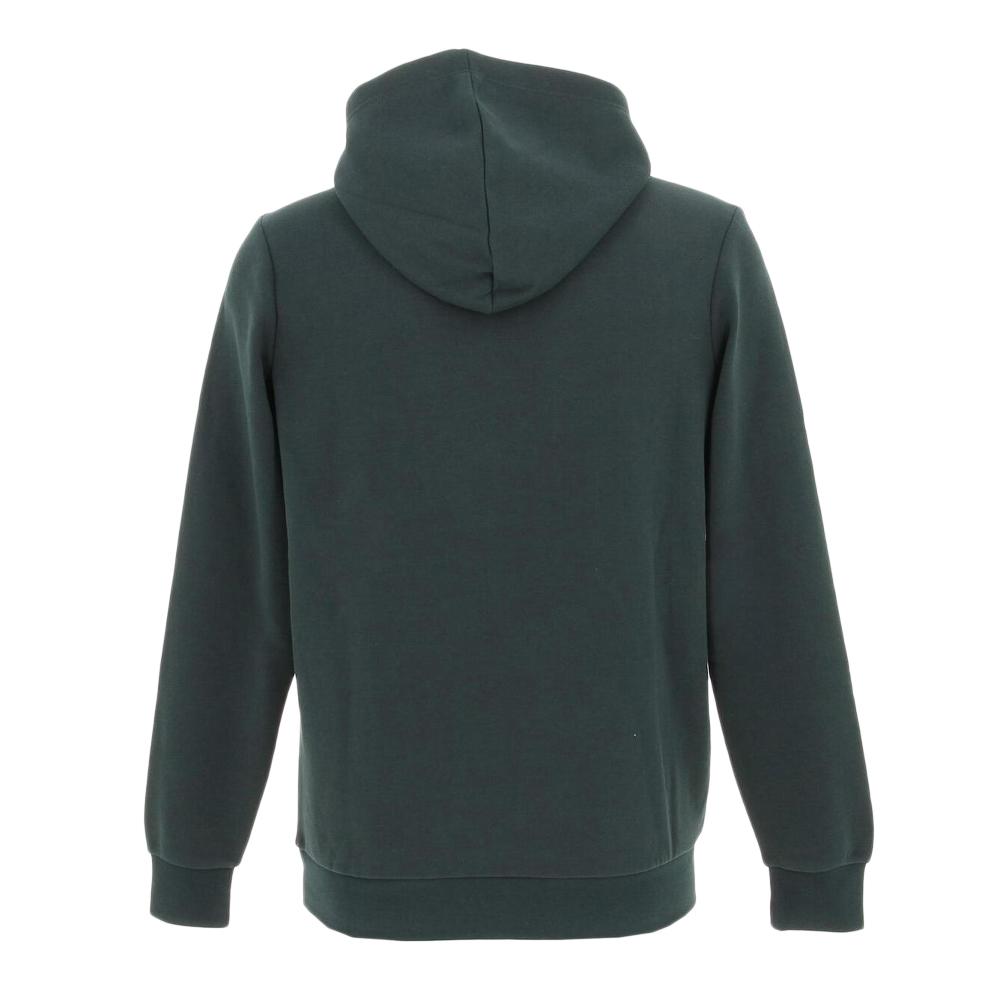 Sweatshirt Grün Jungen Teddy Smith S-nark Hoody Jr Ansicht 2