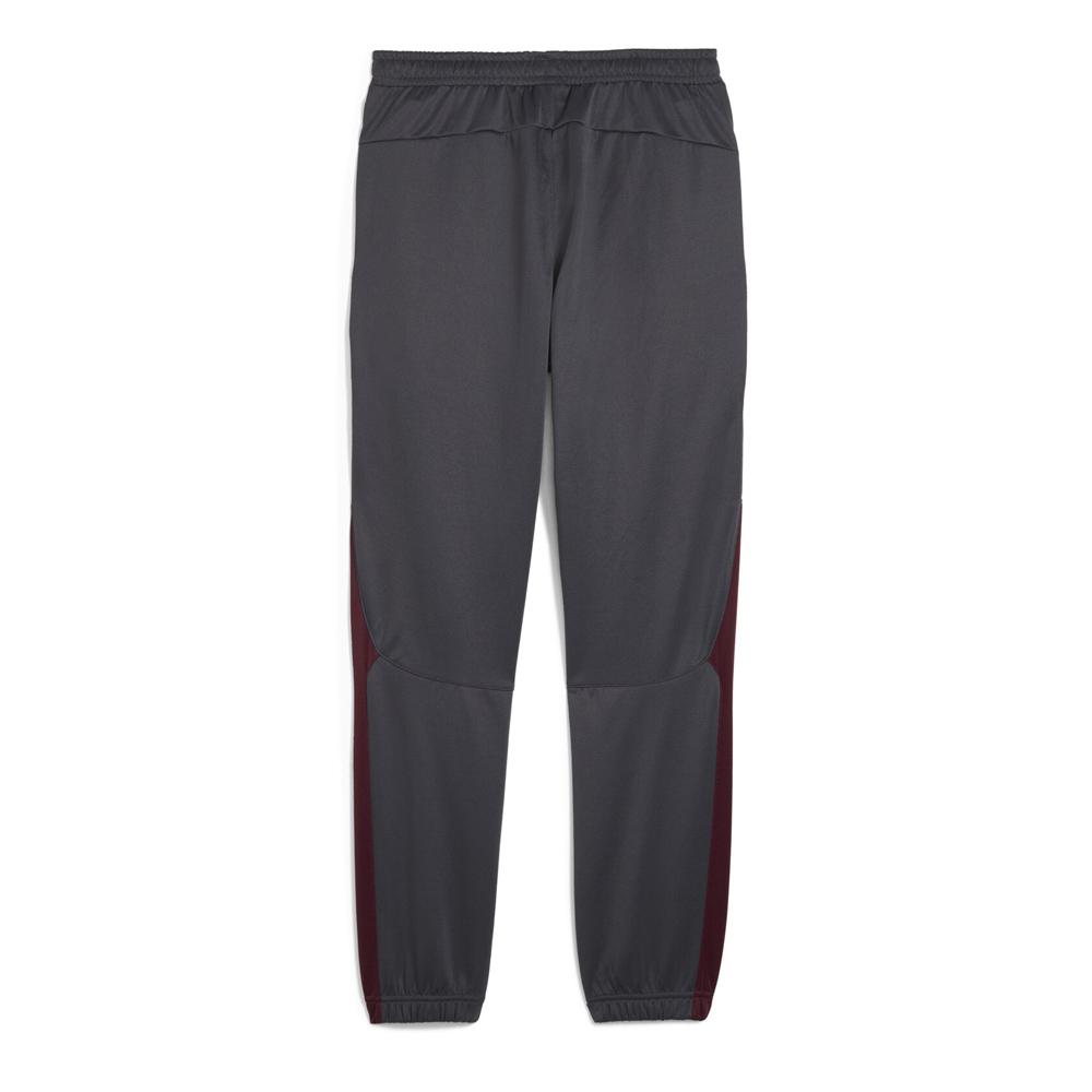 Manchester City Jogginganzug Grau Mann Puma 2024/25 Ansicht 2