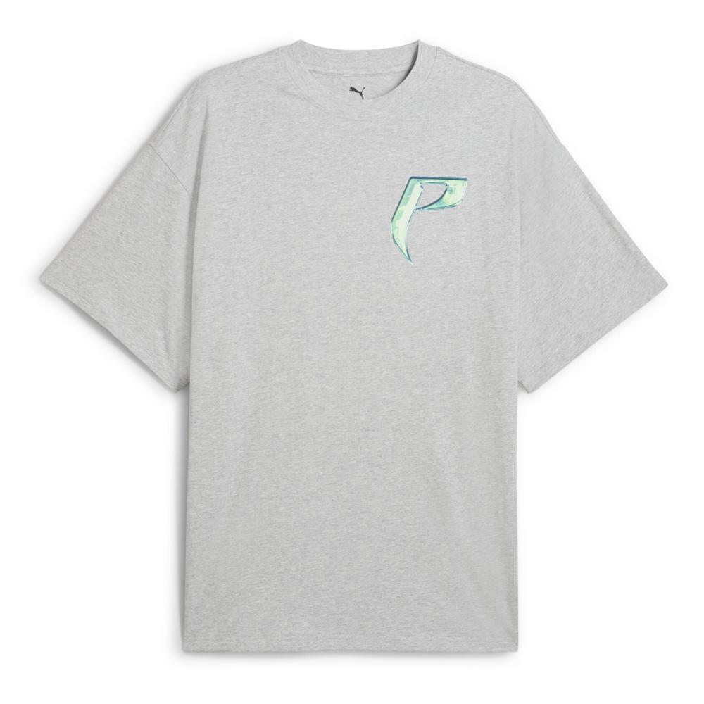 Puma Hoop Männer T-Shirt Grau günstig