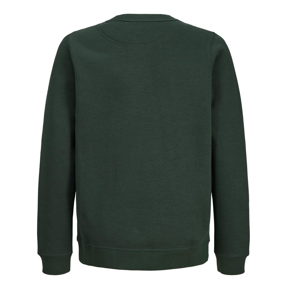 Jack & Jones Norrebro Boys’ Green Sweatshirt Photo of the Espace des Marques %store% store - view of %key%