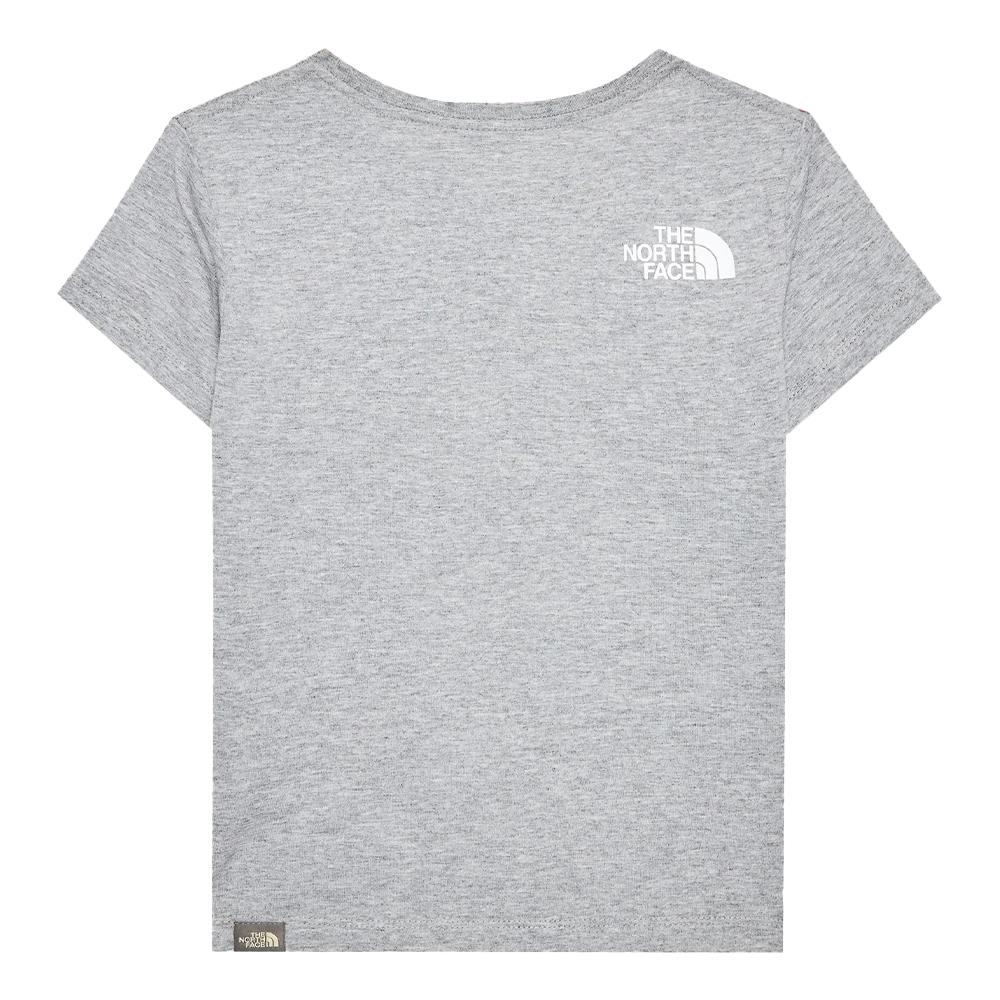 T-shirt Gris Garçon The North Face Graphic 1 vue 2