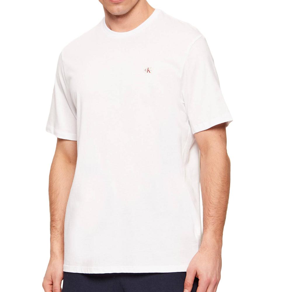 Lot de 2 T-shirts Blanc/Bleu Homme Calvin Klein Jeans Ss Badge vue 2