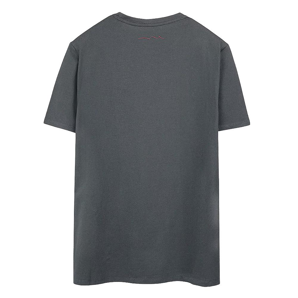 Camiseta gris para niño de Teddy Smith Company ver 2