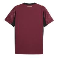 Galatasaray Maillot Réplica Third Homme Puma 25/26 vue 2