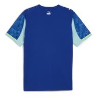Puma Men’s Third Replica Kit 25/26 Photo of the Espace des Marques %store% store - view of %key%