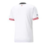 Puma Herren-Auswärtstrikot Replica Österreich 22/23 Ansicht 2